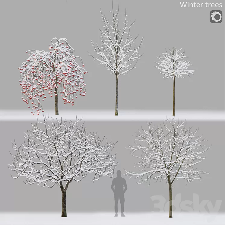 Winter trees # 1 3D Model Free