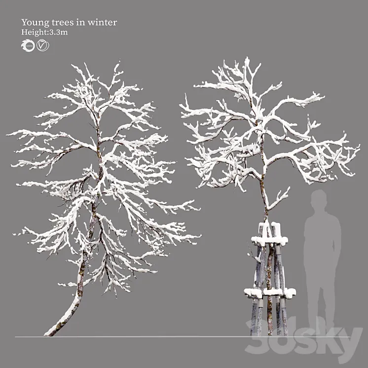 winter young trees 3D Model Free