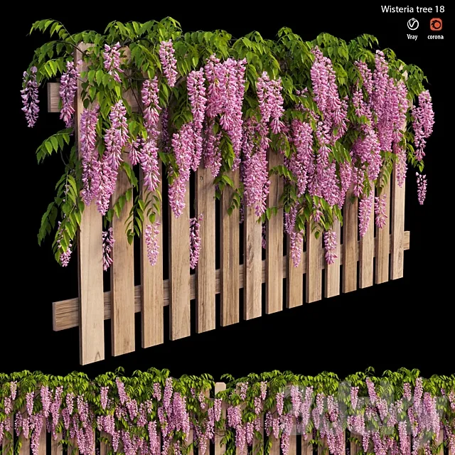 wisterial plant 18 3D Model