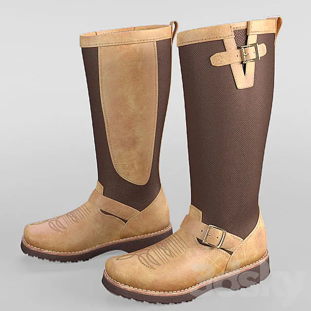 WOMEN'S 15 "TAN RODEO SNAKE BOOTS 3DModel