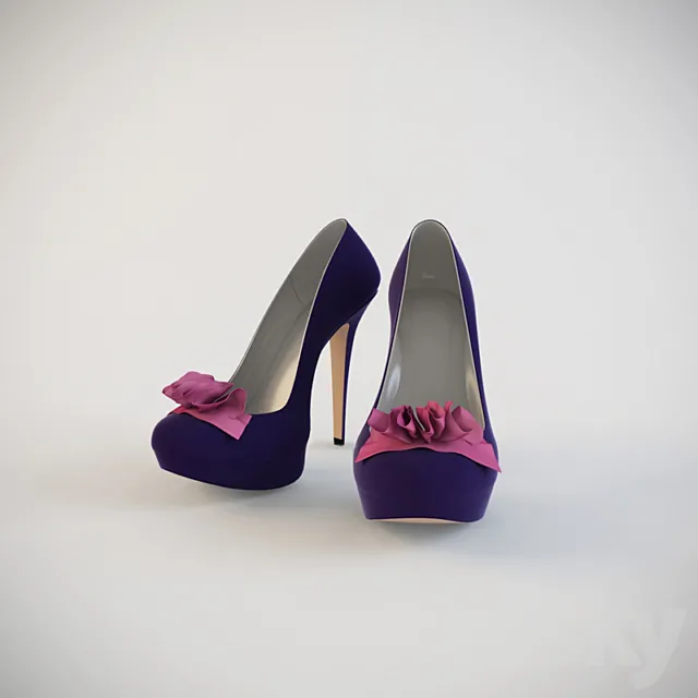 women's shoes 3DModel