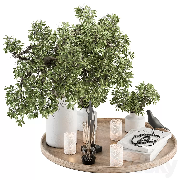 Wood and Green Decorative Set with Bouquet in Tray - Set 112 3D Model Free