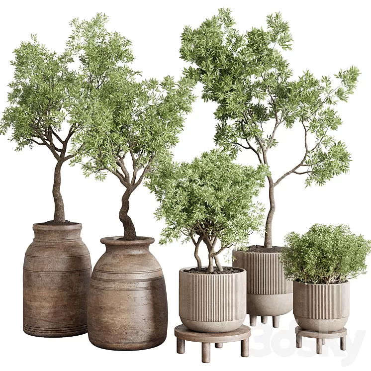 wood collection indoor outdoor plant 141 vase concrete old pot tree vray 3D Model Free