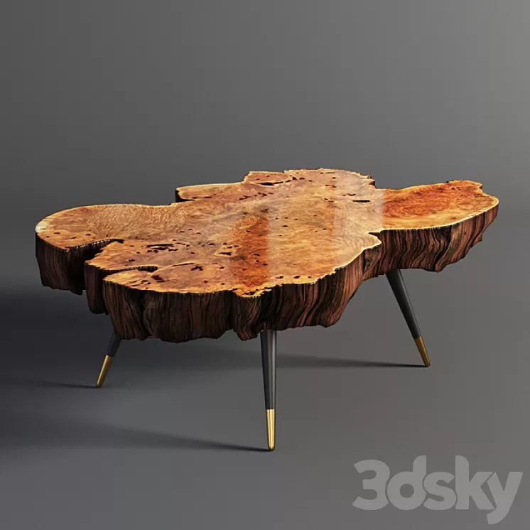 Wood slab coffee table 3D Model