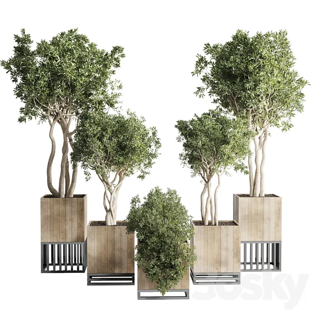 wooden Box Plants on Stand - collection of houseplants indoor 193 3D Model