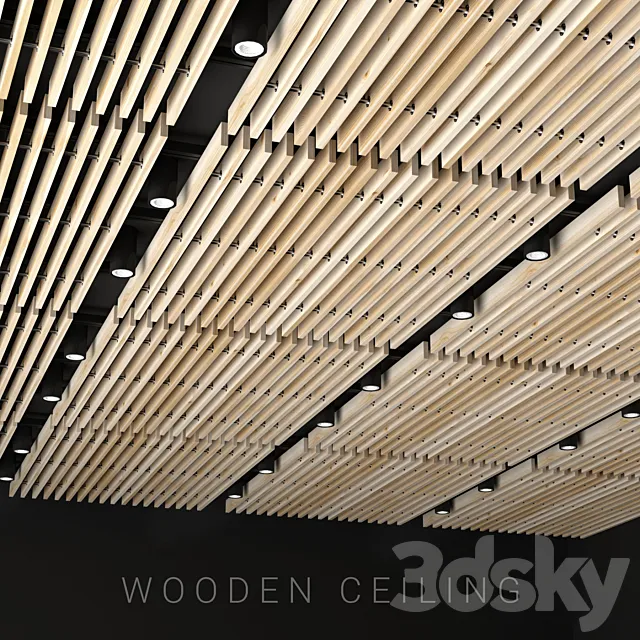 Wooden ceiling 6 3D Model
