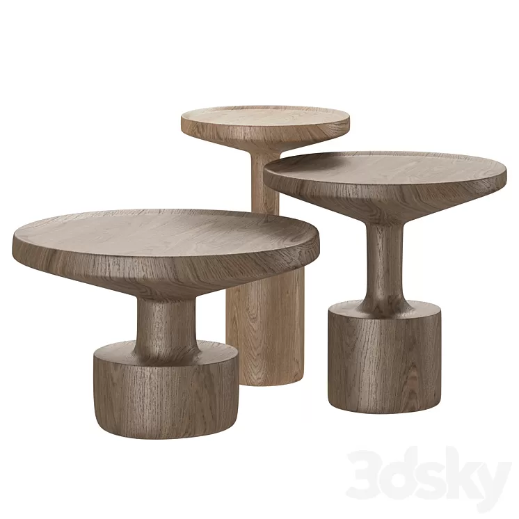 Wooden Coffee Tables Kigi by Linteloo 3D Model Free