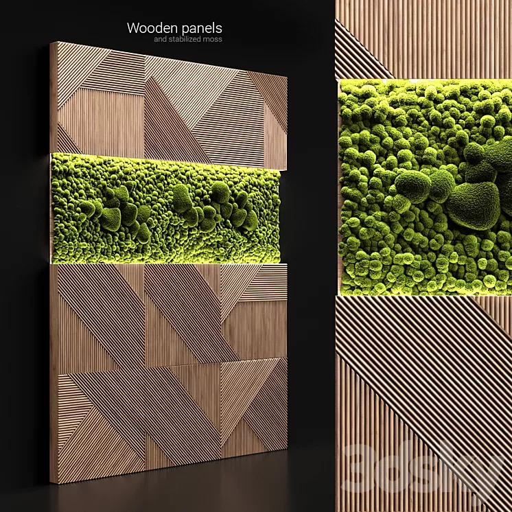 Wooden panels and stabilized moss 3D Model