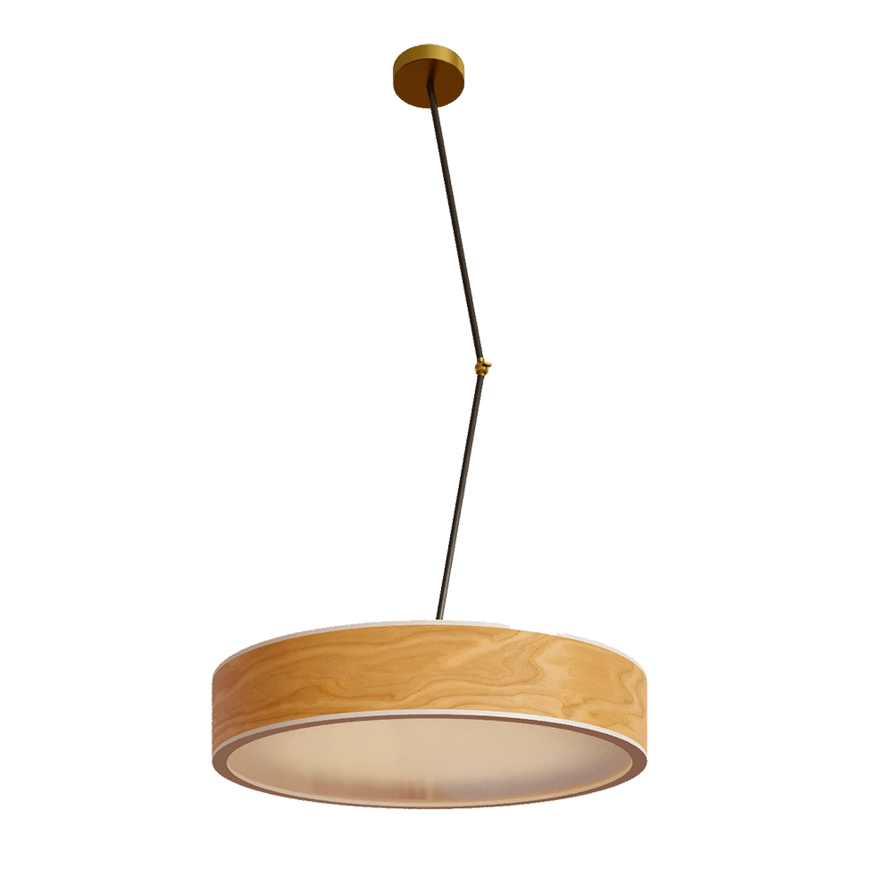 Woodled - Pendant lamp Galactic Jupiter 2 3D Model