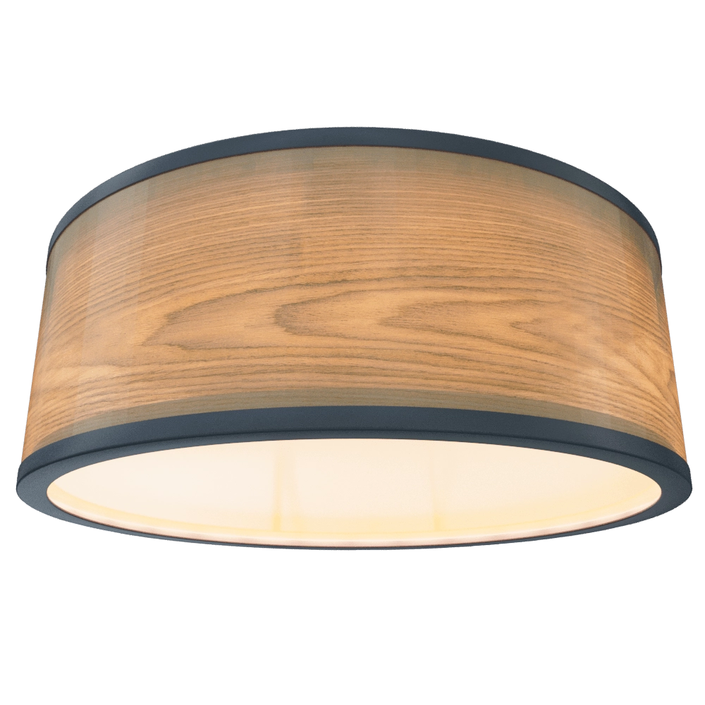Woodled - Spot lamp Galactic Jupiter 2 3D Model