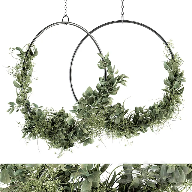 Wreath Olive Plants - Wreath Set 07 3D Model