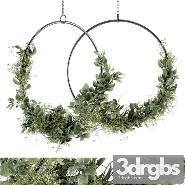 Wreath olive plants - wreath set 07