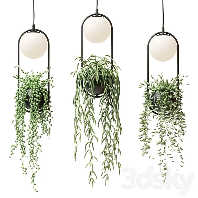 Wren - Sky Garden Planter Light Free Download
