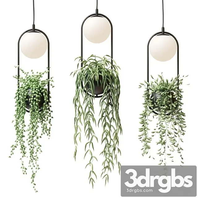 Wren - sky garden planter light