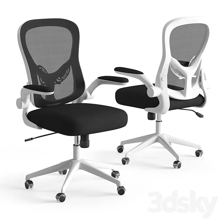Xiaomi HBADA Ergonomic Double-Waisted Computer Chair HDNY163WM 3D Model Free