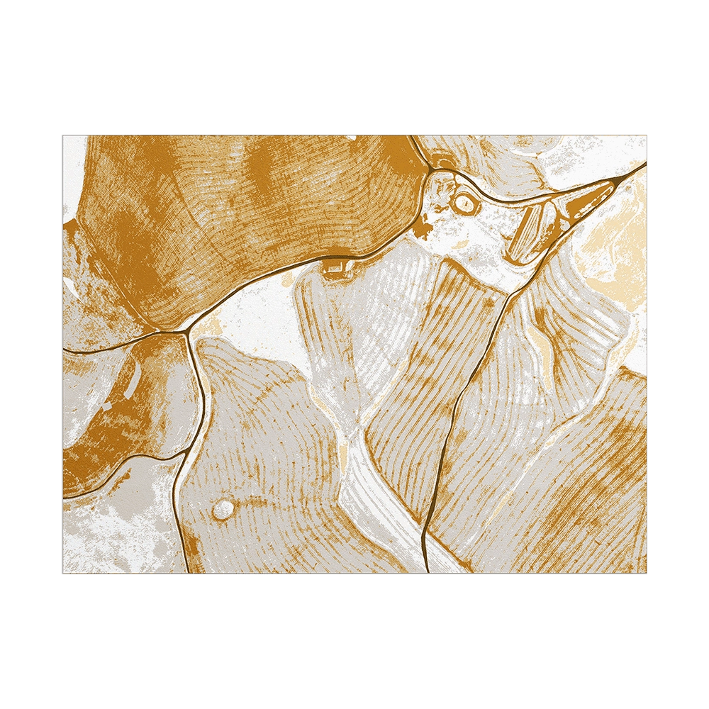 Y-O2 - Carpet Birds Eye View BI3.02 3D Model