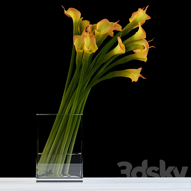 Yellow calla 3D Model