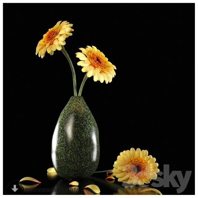 YELLOW DEW GERBERA 3D Model