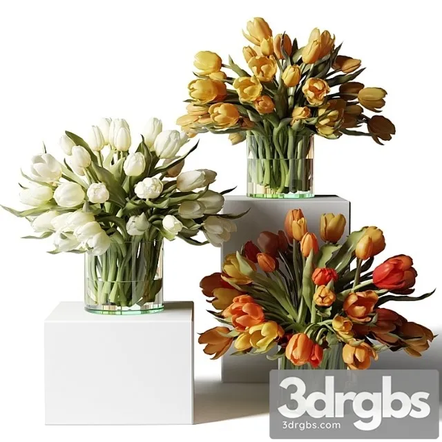 Yellow Red and White Tulips in Glass Vases 3D Model Free