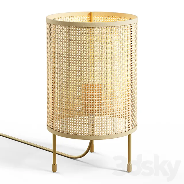 Zara Home - Rattan Lamp 3D Model