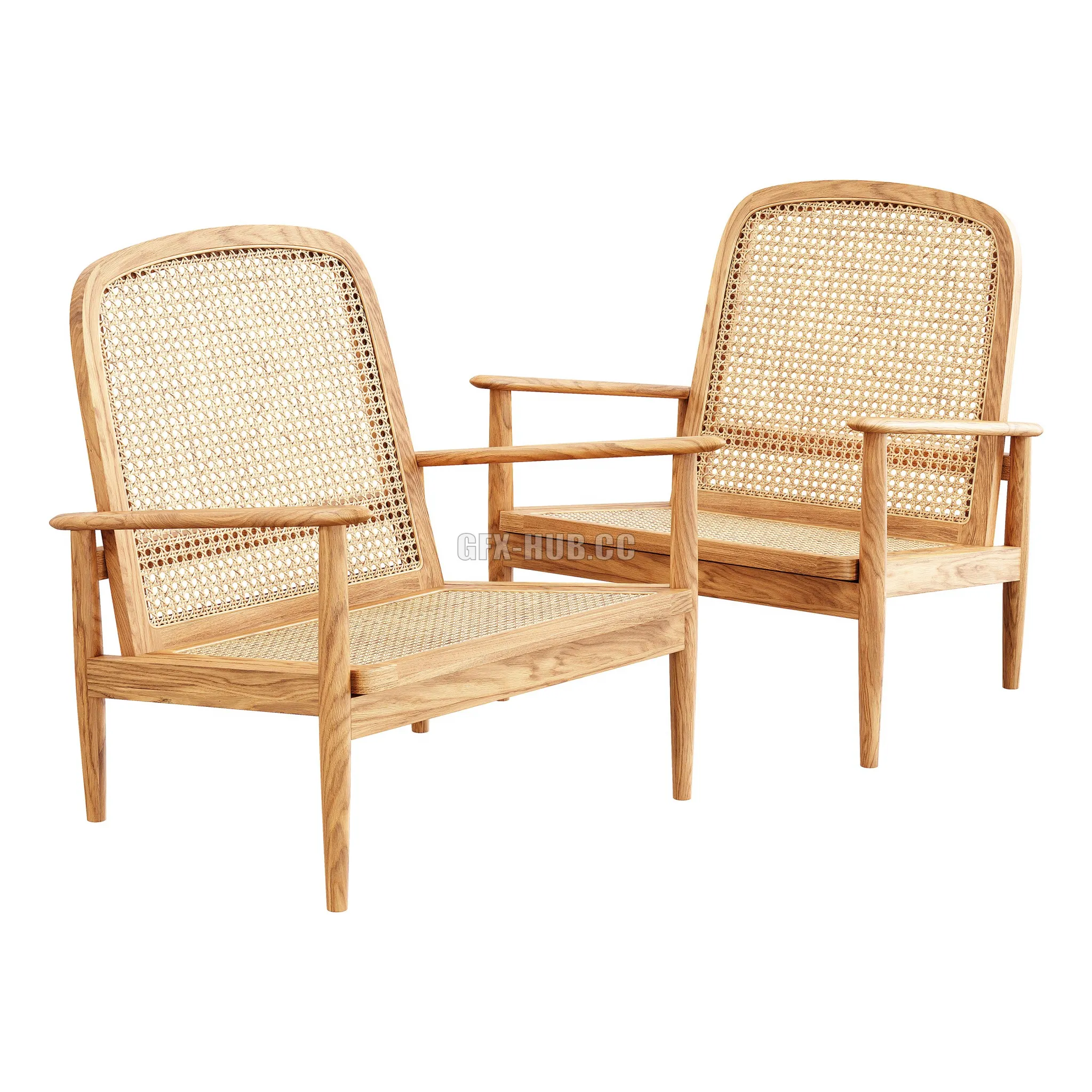 Zara Home The Teak and Rattan Armchair 3D Model