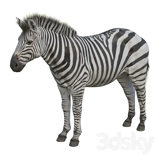 Zebra 3DModel
