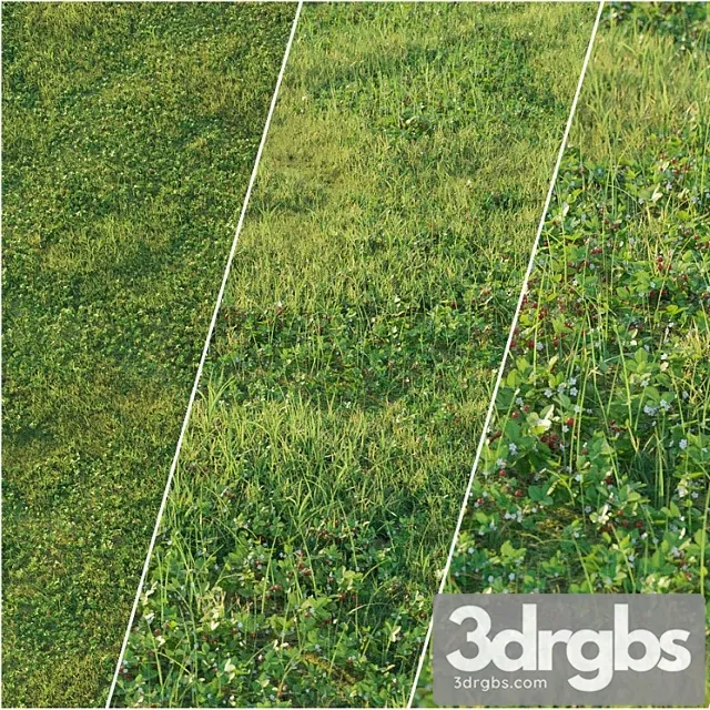 Zemlianichnaia Polianka 3D Model Free