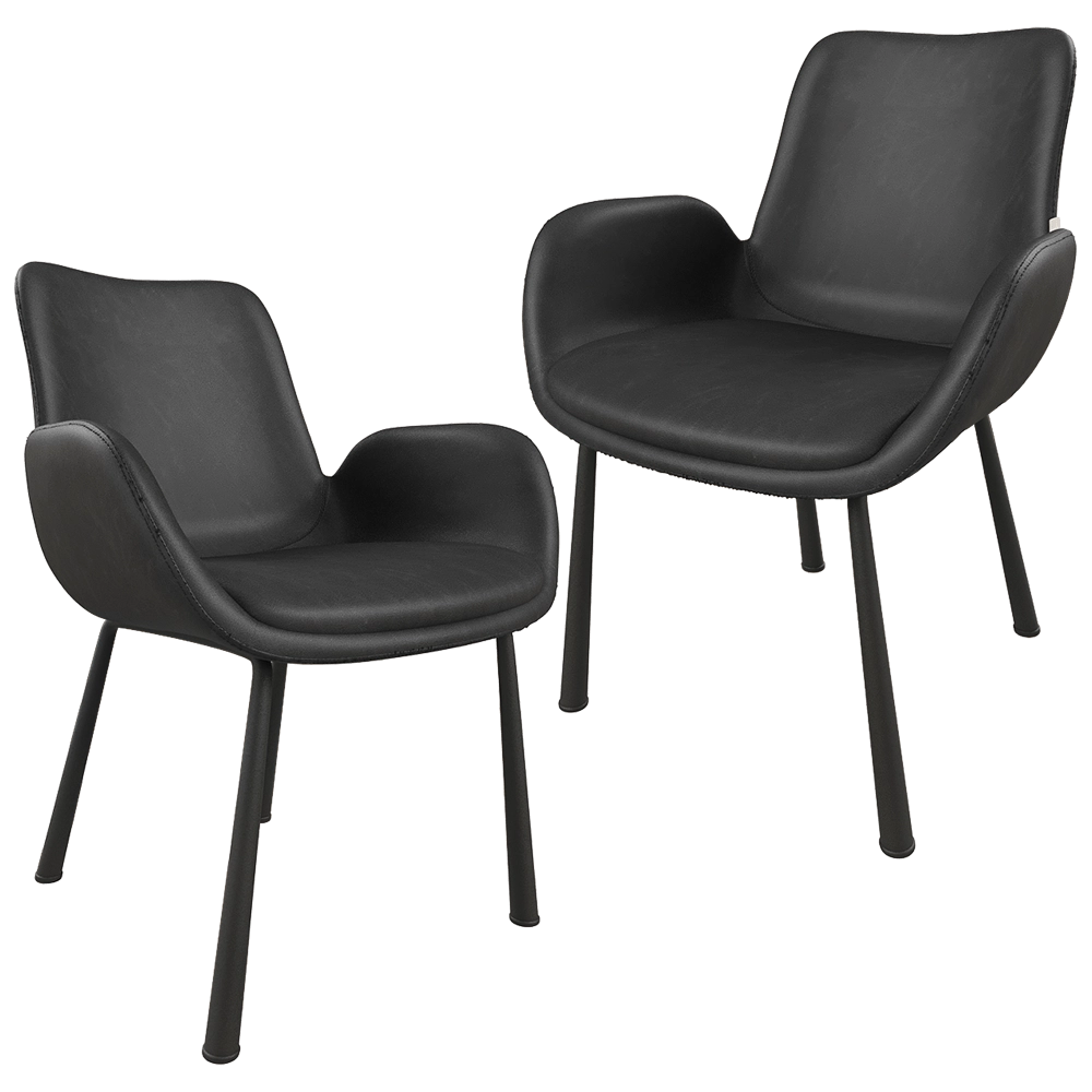 Zuiver Group   - Armchair Brit LL black 3D Model