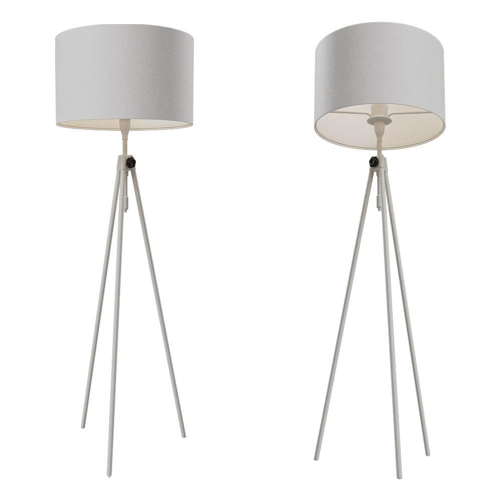 Zuiver Group   - Floor lamp Lesley white 3D Model