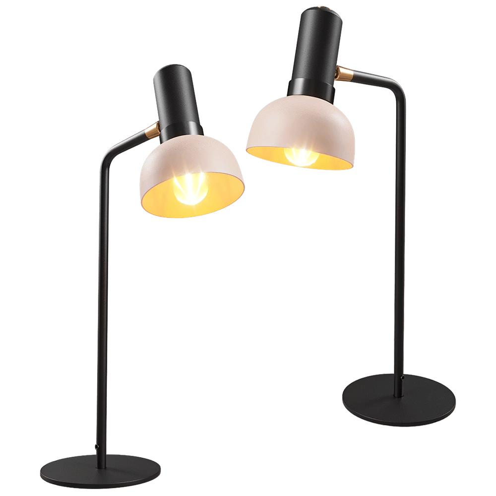 Zuiver Group - Table lamp Charlie 3D Model