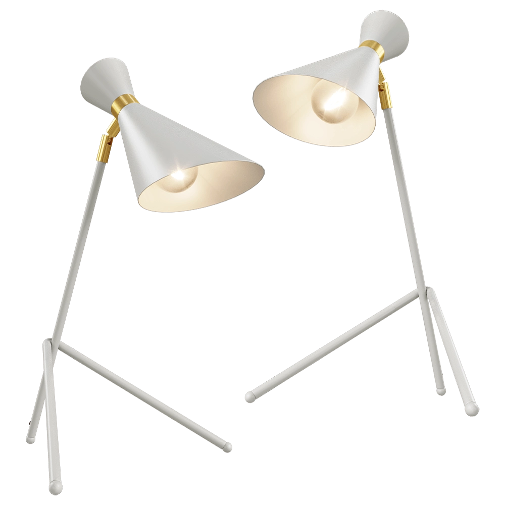 Zuiver Group   - Table lamp Shady grey 3D Model