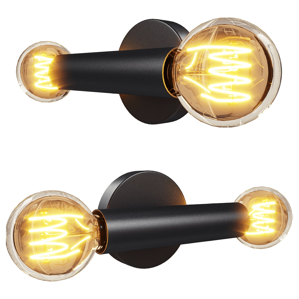 Zuiver Group   - Wall lamp Hawk black 3D Model