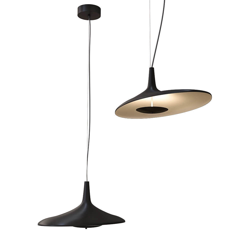 ZZOK - Pendant lamp Milosh trend 0827PL-60BK 3D Model